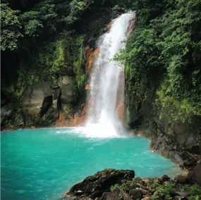 Costa Rica Tarrazu