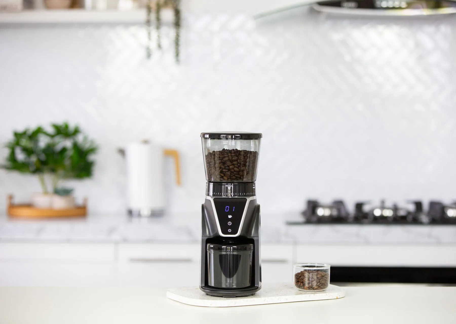 Electric Burr Coffee Bean Grinder - 10 Cups/31 Grind Settings