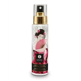 Geishas Gentle Cleaner 115ml/ 3.89fl Oz