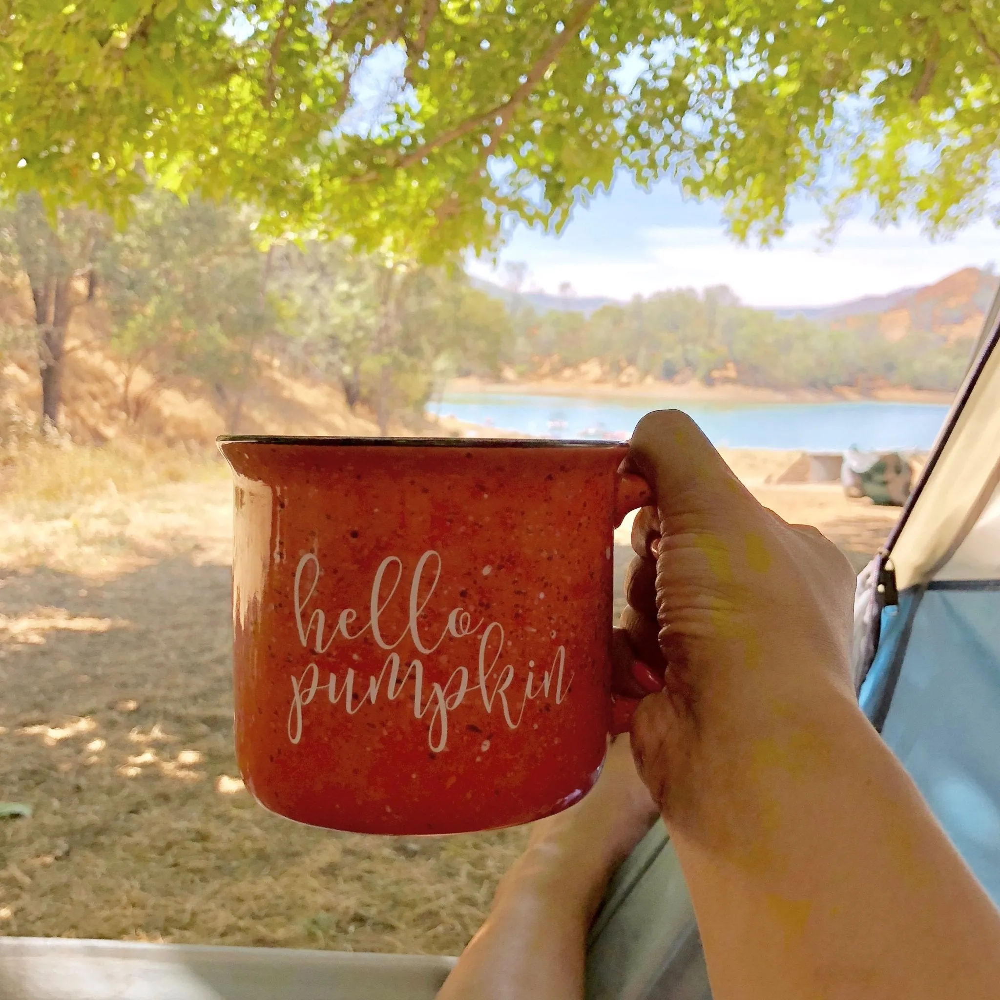 Hello Pumpkin Campfire Coffee Mug