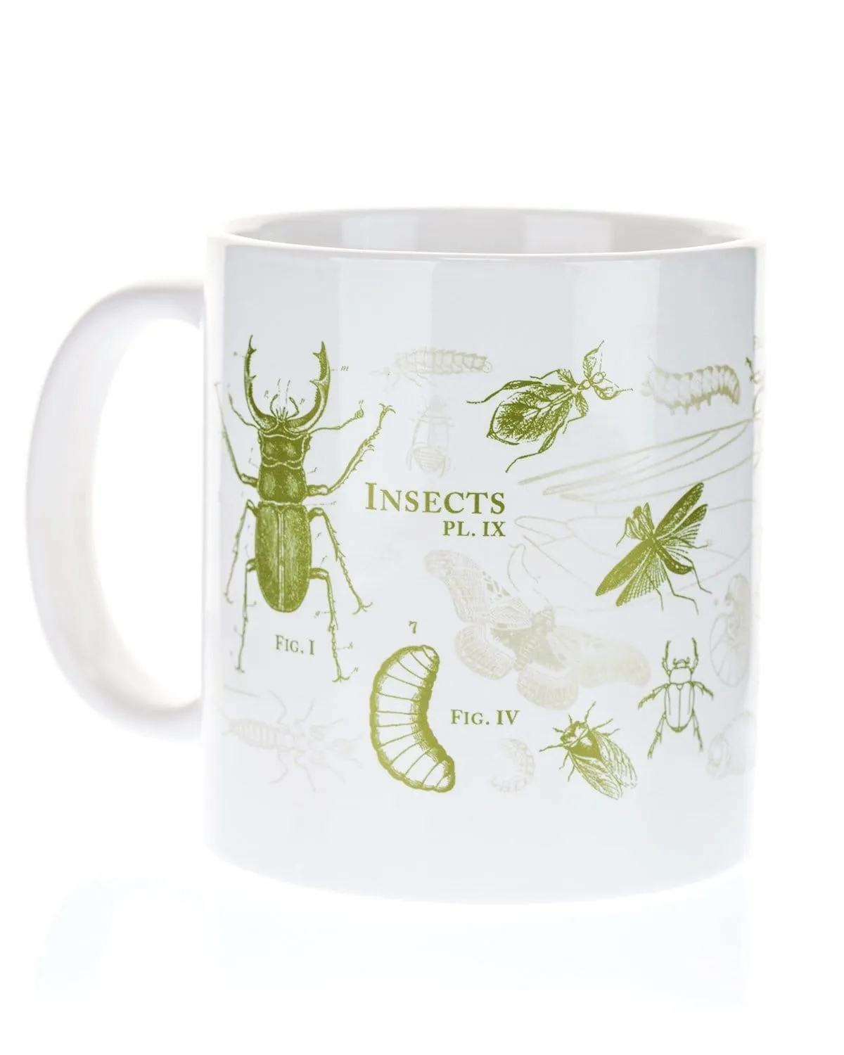 Insects 20 oz Mega Mug