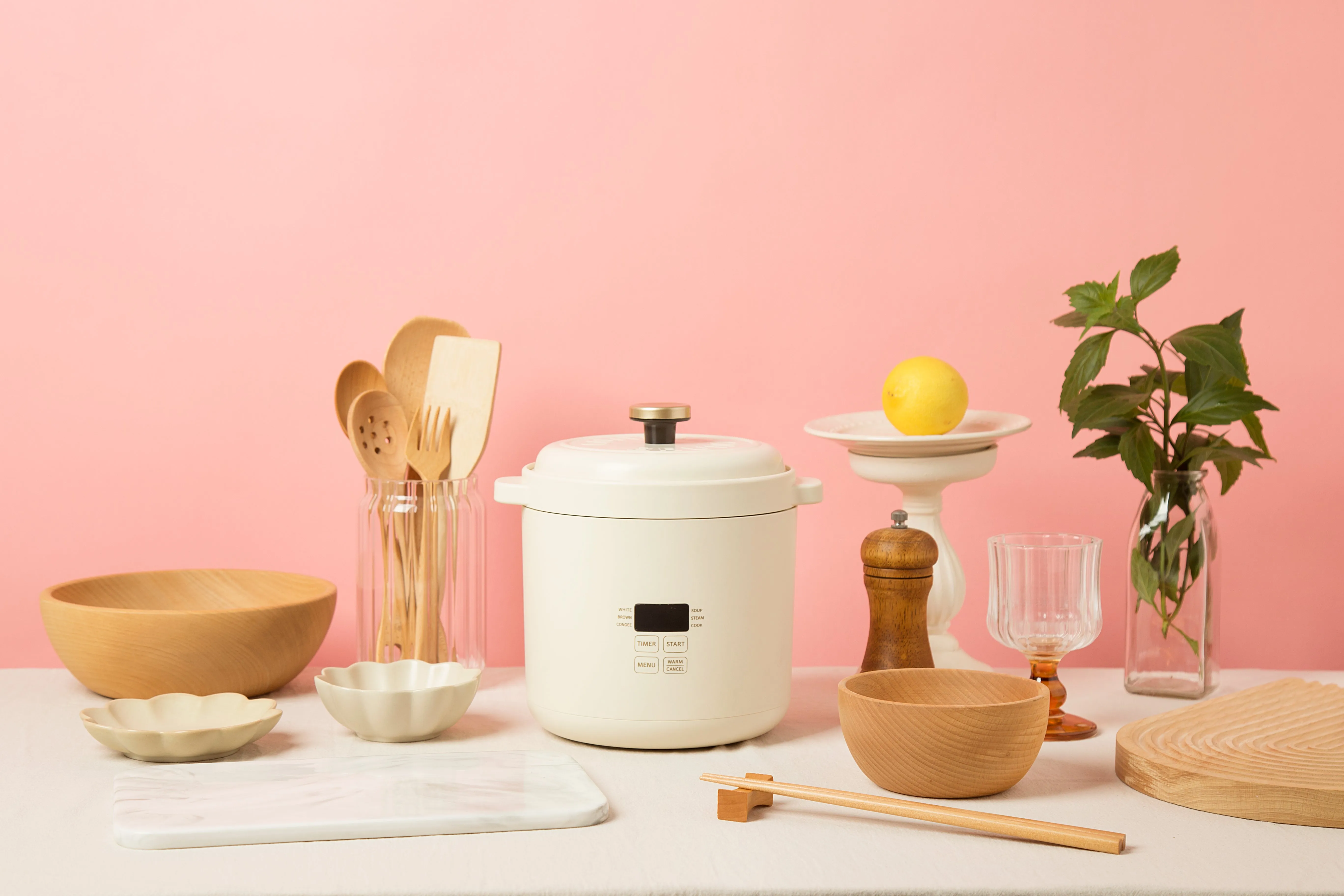 Mini Rice Cooker in Ivory