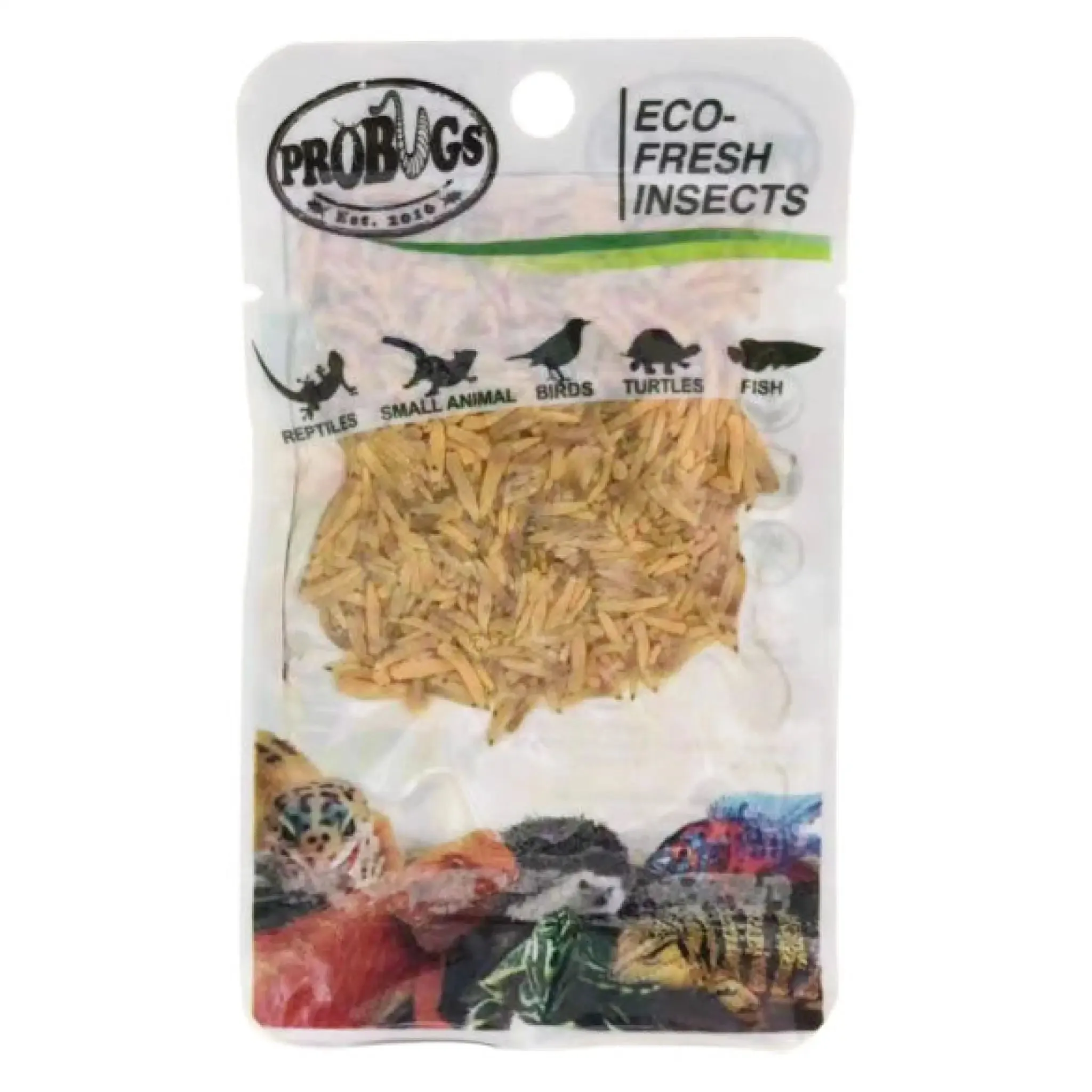 ProBugs Eco Fresh Riceworms 15g