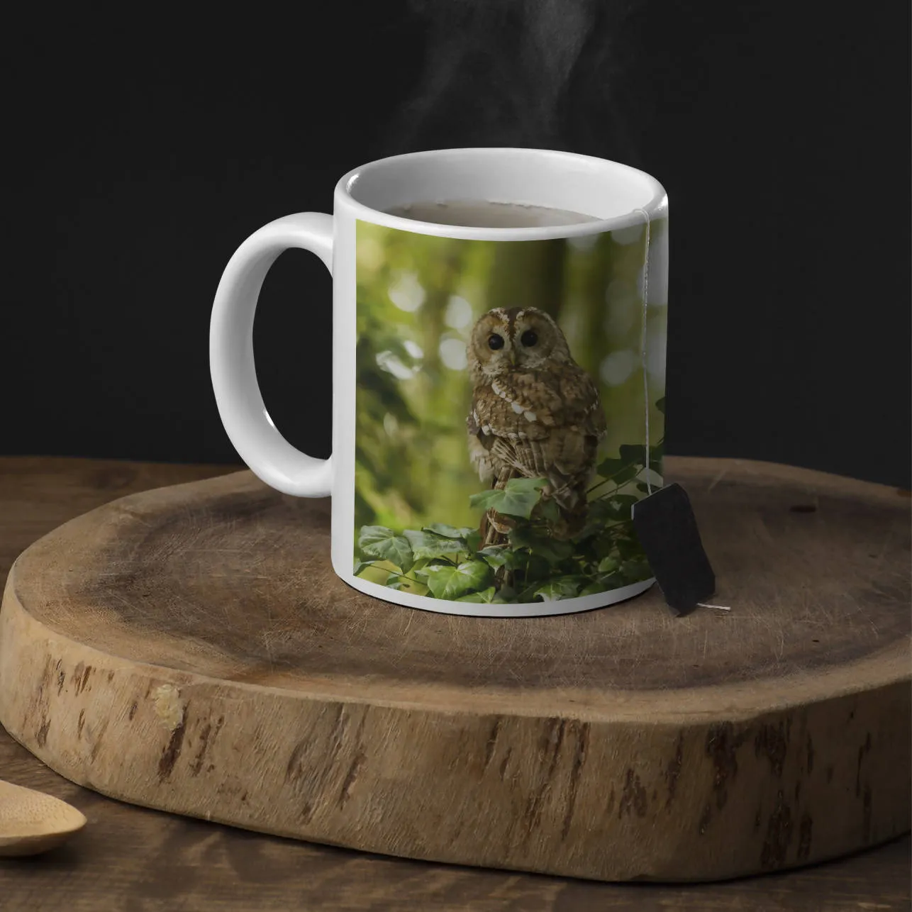 Tawny Owl Mug